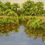 The Shallows early evening