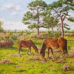 New Forest ponies