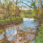 Boldre river