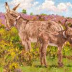 Donkeys mum and foal