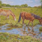 Pitmore lane Sway