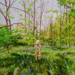 Bluebell wood