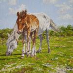 Mother and foal