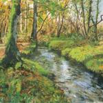 Wooton stream New Forest