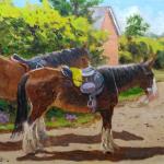 Saddled and ready to go