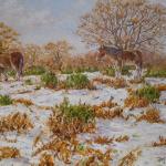 Winter on the New Forest