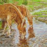 Minnow stream Pilley