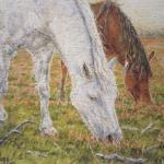 Grazing ponies