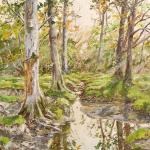 Brockenhurst Autumn