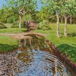 New Forest stream