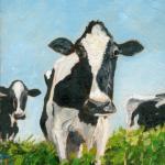 Cow...