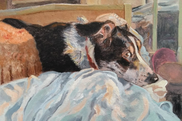 View more pictures of pets