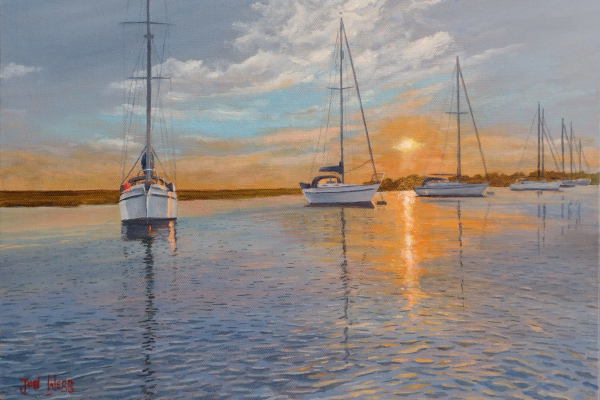 View more pictures of the New Forest and Solent