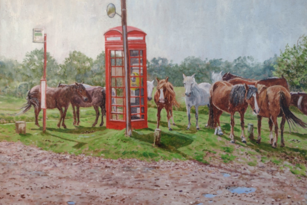 View more pictures of the New Forest and Solent